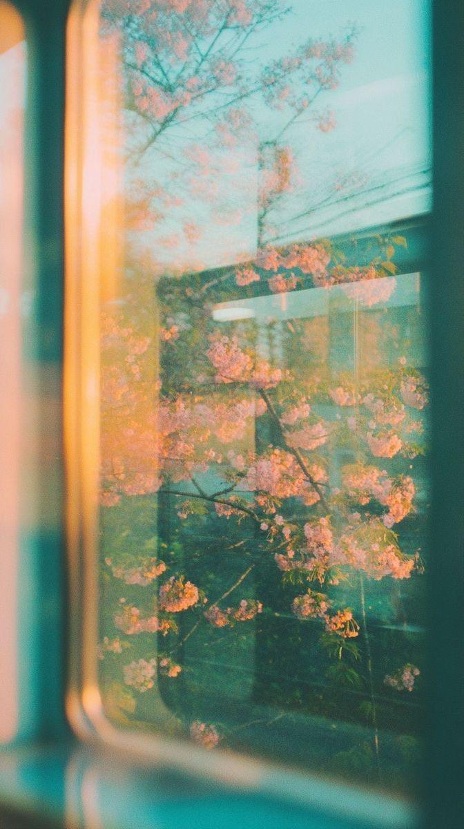 a picture of a window with nature based healing